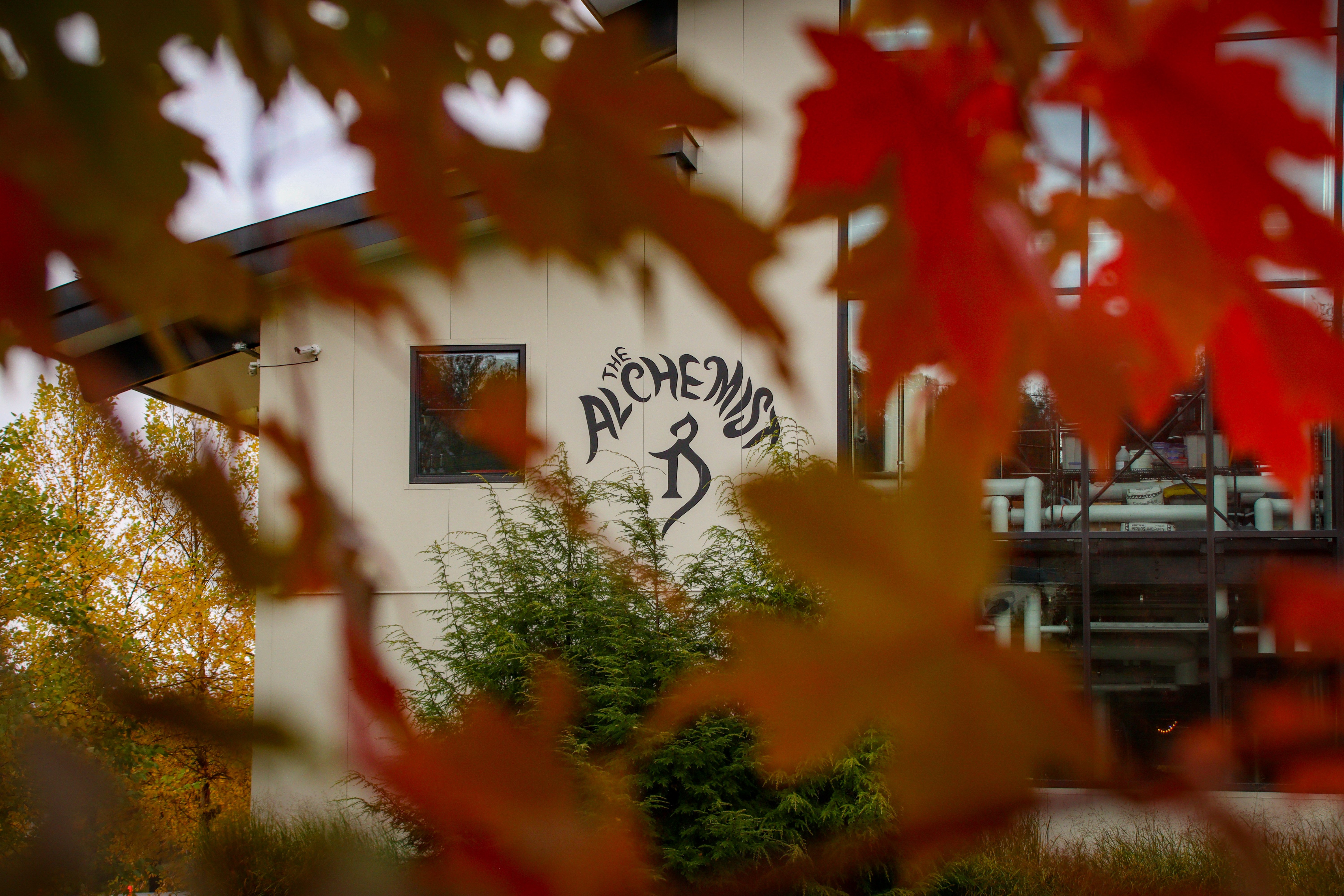 Brewery foliage2 (1)